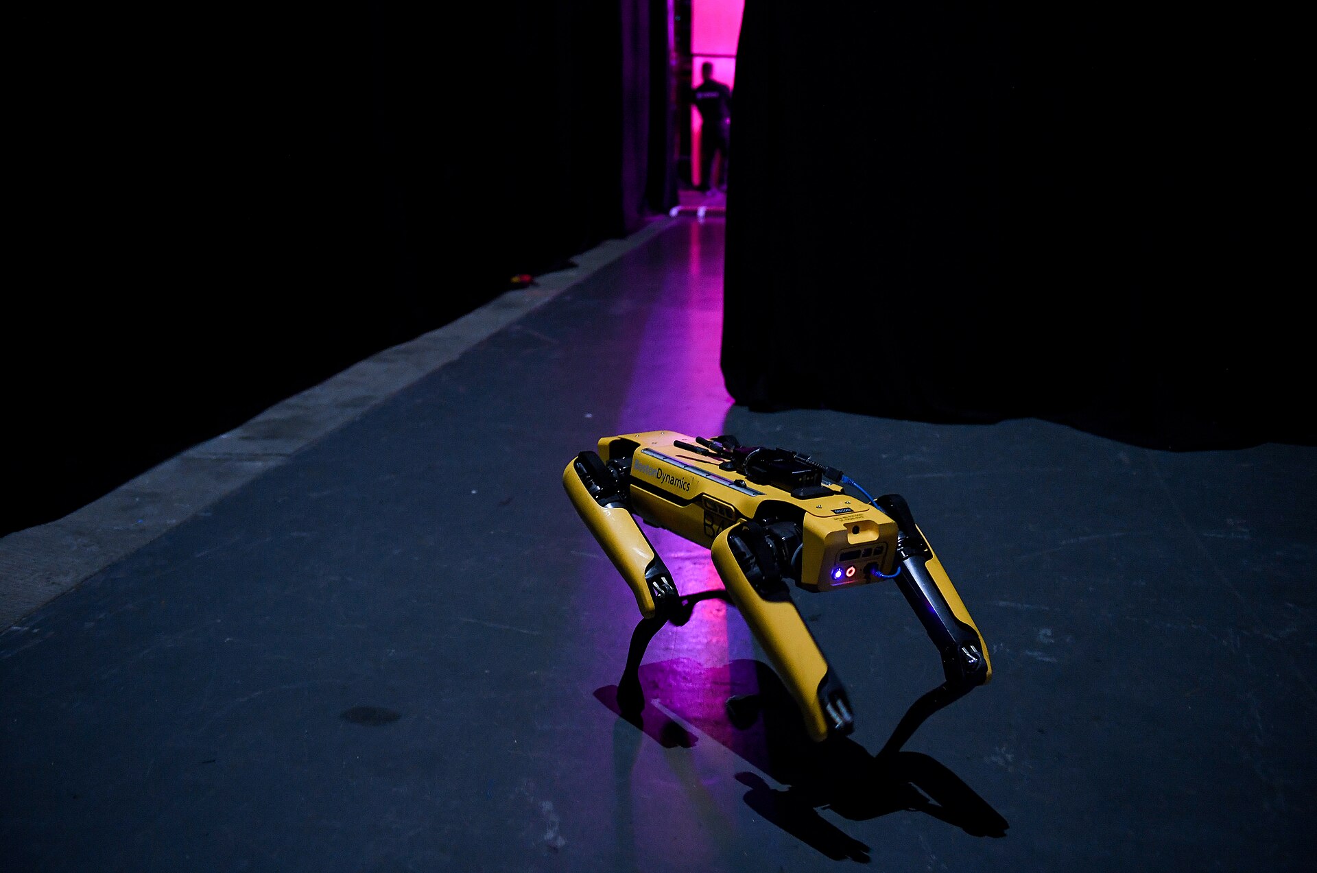 Boston Dynamics four-legged SpotMini robot photographed at a 2019 technology event.