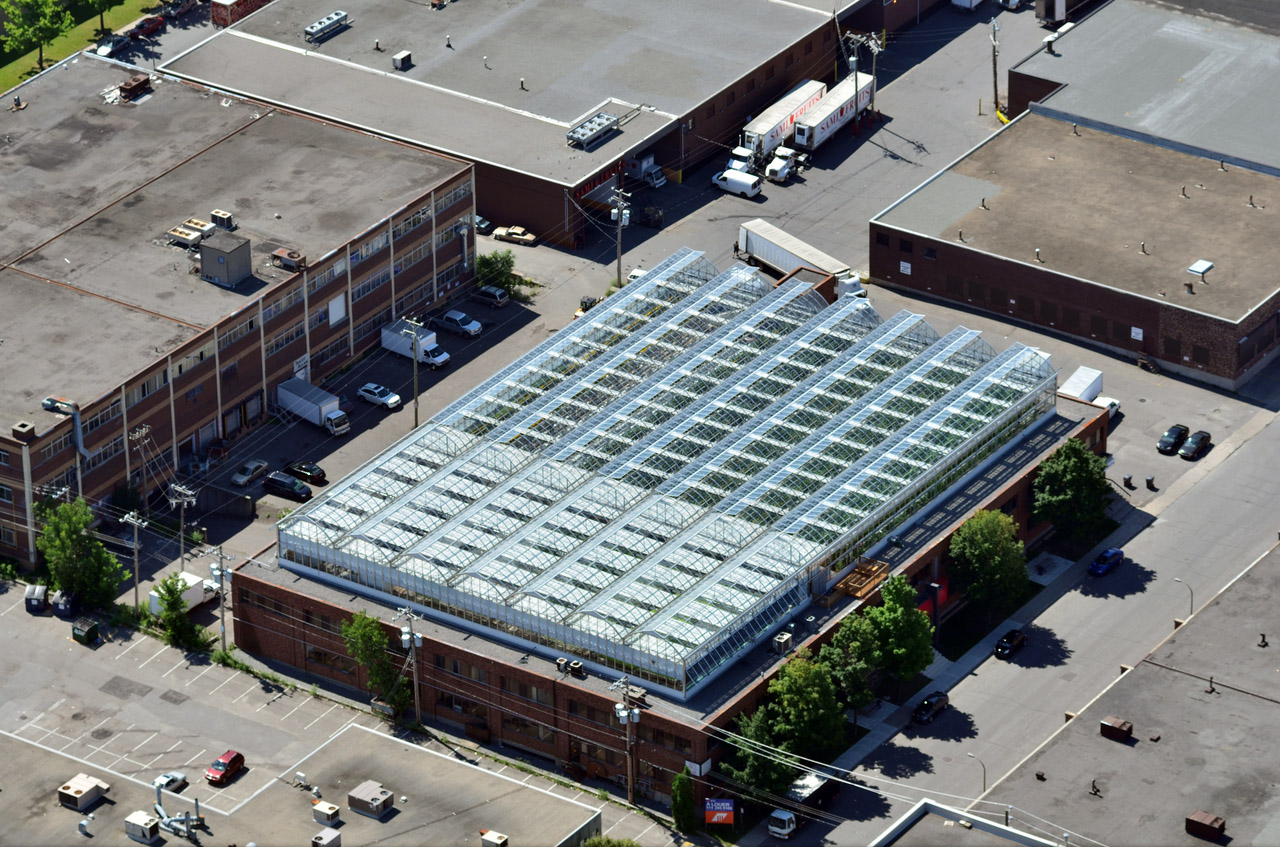Commercial greenhouse on a rooftop in Montréal